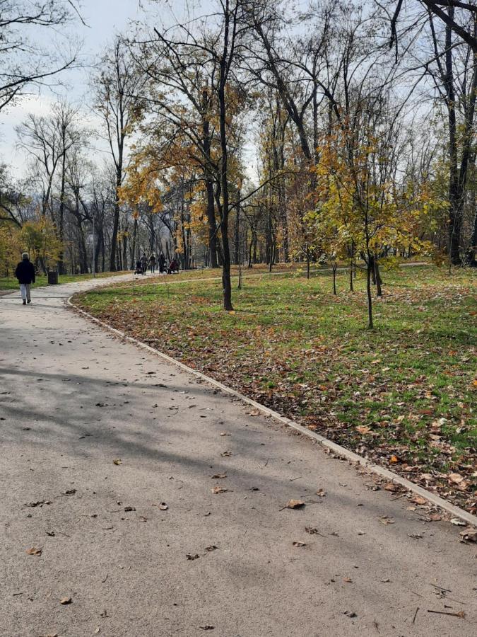 Apartman 57 Belgrád Kültér fotó